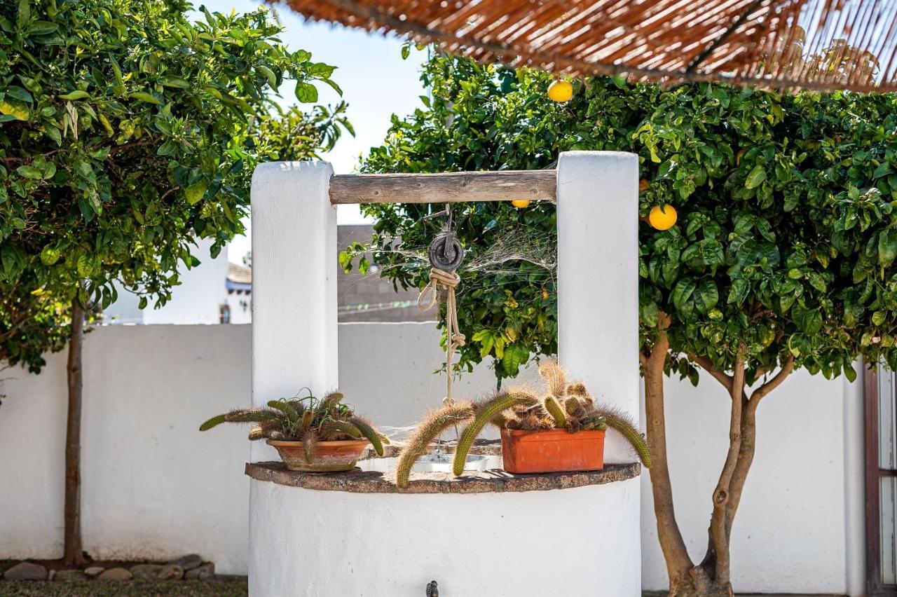 Cortijo Villa La Dehesa Conil De La Frontera Extérieur photo